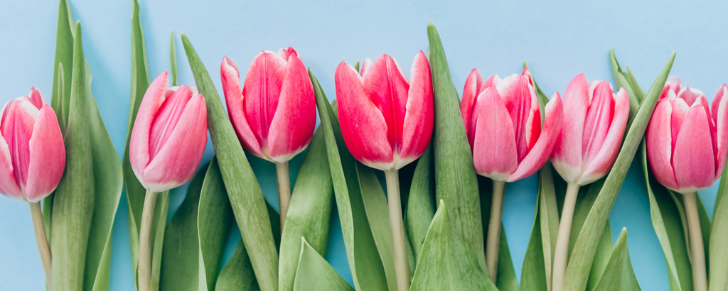 Rosen Plaza Mothers Day Top Header 2024