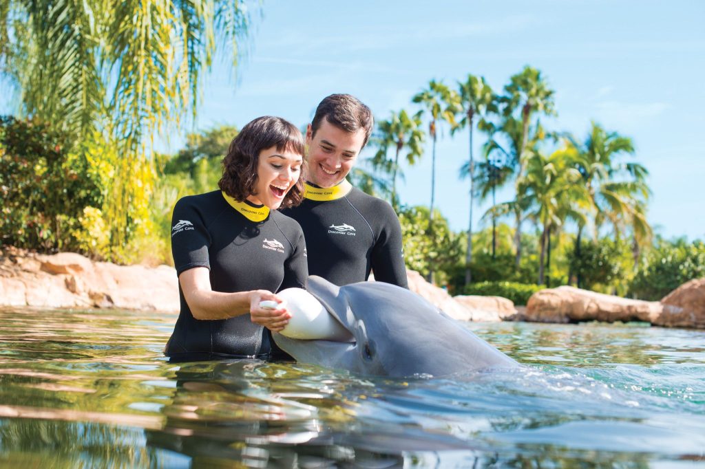 Valentine's Day in Orlando - A dolphin helps a couple get engaged at Discovery Cove.
